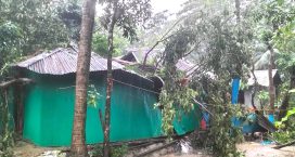সেনবাগে ৫মিনিটের টনেডো ৩গ্রাম লন্ডভন্ড, আহত ১০