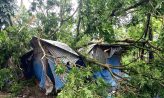 সুবর্ণচর ঘূর্ণিঝড়ে ঘরবাড়ি-গাছপালা লণ্ডভণ্ড, ক্ষতিগ্রস্ত বহু পরিবার