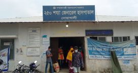 পশু কুরবানি করতে গিয়ে ২৪ ঘণ্টায় জেলাজুড়ে আহত ১২০