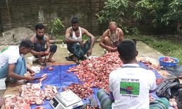 সেনবাগে সৌদির সাথে মিল রেখে কোরবানী করে অসহয় মাঝে মাংশ বিতরণ