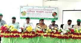 সুবর্ণচরে কৃষি পাটনার কংগ্রেস অনুষ্ঠিত