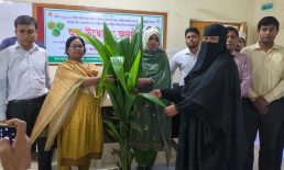 সুবর্ণচরে নারিকেল চারা বিতরণ কর্মসূচির উদ্বোধন