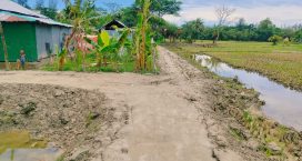 হাতিয়ায় জমি দখল করে রাস্তা নির্মাণের অভিযোগ তাঁতীদল নেতার বিরুদ্ধে