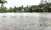 নোয়াখালীতে রাতভর বৃষ্টি, জলাবদ্ধতায় বেড়েছে ভোগান্তি