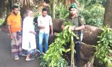 নিষিদ্ধ আকাশমনি গাছের চারা ভেঙে ফলজ চারা উপহার দিলেন ইউএনও