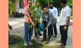 নোবিপ্রবিতে বৃক্ষরোপণ কর্মসূচি অনুষ্ঠিত