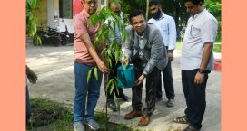 নোবিপ্রবিতে বৃক্ষরোপণ কর্মসূচি অনুষ্ঠিত