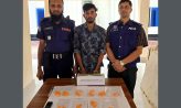 চাটখিলে ইয়াবাসহ এক মাদক ব্যবসায়ী গ্রেফতার
