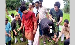 সেনবাগে ১০ হাজার চারা রোপণ কর্মসূচির উদ্বোধন