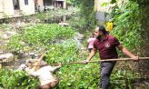 সেনবাগে খাল পরিচ্ছন্নতা অভিযান পরিচালনা করলো স্বেচ্ছাসেবী সংগঠন ইয়াং হেল্প হিউম্যান বিডি