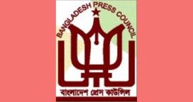 প্রেস কাউন্সিলে নতুন কমিটি, মাহফুজ আনামসহ সদস্য ১২ জন