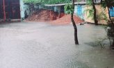 বর্ষার তাণ্ডবে ডুবল নোয়াখালী থমকে গেছে জনজীবন