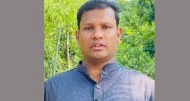 হাতিয়াতে ছাত্রদল নেতার বিরুদ্ধে গাছ কেটে খাস জমি দখলের অভিযোগ