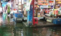 পৌর বাজার থেকে গ্রাম, সর্বত্র পানির রাজত্ব: অবহেলা আর দখলের বলি লাখো মানুষ