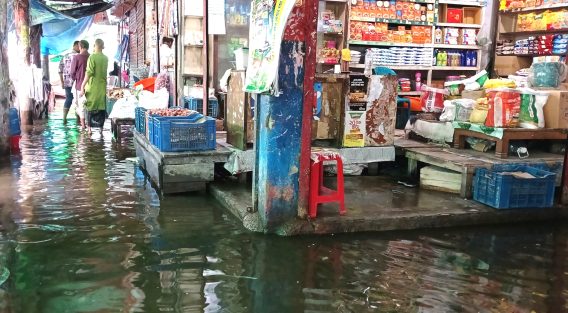 পৌর বাজার থেকে গ্রাম, সর্বত্র পানির রাজত্ব: অবহেলা আর দখলের বলি লাখো মানুষ