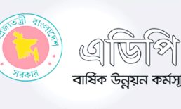 জুলাইয়ে এডিপি বাস্তবায়ন মাত্র শূন্য দশমিক ৬৯ শতাংশ