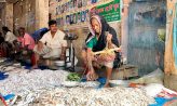 পাঁচ দশকের জীবিকার লড়াই : সুবর্ণচরের মরনীবালা জলদাস