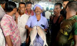 হাতিয়াতে ২ ইলিশ বিক্রি হলো সাড়ে ১১ হাজার টাকায়