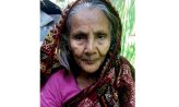সেনবাগে নিখোঁজের তিনদিন পর নারীর লাশ উদ্ধার