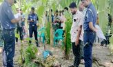 কোম্পানীগঞ্জে অটোরিকশা চালককে হত্যা, সুবর্ণচরে লাশ উদ্ধার