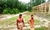 হাতিয়ায় বন কেটে বসতি ও সড়ক নির্মাণ, নির্বিকার বনবিভাগ