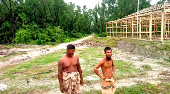হাতিয়ায় বন কেটে বসতি ও সড়ক নির্মাণ, নির্বিকার বনবিভাগ