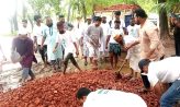 চাটখিলে ফাউন্ডেশনের উদ্যোগে মেরামত হচ্ছে সরকারি রাস্তা