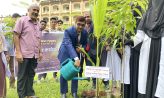 কবিরহাটে পূবালী ব্যাংকের বৃক্ষরোপণ কর্মসূচি