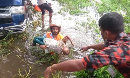 চন্দগঞ্জে মাইক্রোবাস খালে পড়ে একই পরিবারের ৭ জনের মৃত্যু