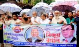সেনবাগে বিএনপি কাজী মফিজুর এর নেতৃত্বে আনন্দ মিছিল
