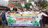 সেনবাগে বিএনপির আনন্দ মিছিল ও সমাবেশ