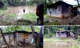 সদর উপজেলা ভূমিহীন পরিবারের মানবেতর জীবন
