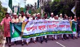 মাইজদীতে জশনে জুলুস ঈদে মিলাদুন্নবী (দঃ) উদযাপন