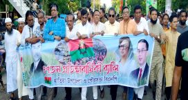 হাতিয়ায় বিএনপির ৪৭তম প্রতিষ্ঠাবার্ষিকী উদযাপন
