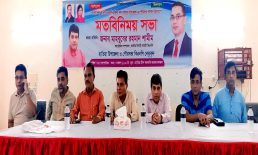 প্রত্যেক ঘরে ঘরে ধানের শীর্ষে ভোট চাইবেন – শামীম