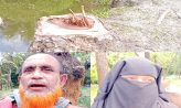 সুবর্ণচরে বাড়ী দখলের অভিযোগ