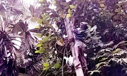 মাইজদীতে বিদ্যুৎস্পৃষ্ট হয়ে ইলেকট্রিক মিস্ত্রির মৃত্যু