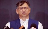 নির্বাহী আদেশে কোনো দল নিষিদ্ধের পক্ষে নয় বিএনপি: সালাউদ্দিন আহমদ