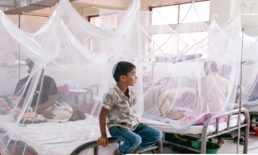 ডেঙ্গুতে মৃতের সংখ্যা ২০০ ছাড়ালো
