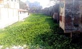 চরমটুয়া ভুলুয়া খাল, ভুমি দস্যুর দখলে