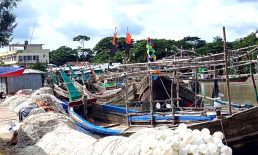 ইলিশ ধরার নিষেধাজ্ঞা শেষে সমুদ্রে নামার অপেক্ষায় জেলেরা