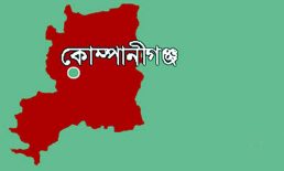 কোম্পানীগঞ্জে ফলাফর বিপর্যয় : পাসের হার নামল ৩৮.১৯%