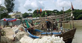 হাতিয়ায় নিবন্ধিত প্রায় অর্ধেকে জেলে পাচ্ছেন সরকারি ভিজিএফ কার্ডের চাল