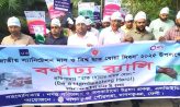 দাগনভূঞায় জাতীয় স্যানিটেশন মাস ও বিশ্ব হাত ধোয়া দিবস পালিত
