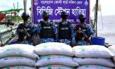 হাতিয়ায় কোস্ট গার্ডের অভিযানে ২২ হাজার কেজি মটর ডাল জব্দ