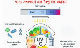 বাংলাদেশে খাদ্য সংরক্ষণে UV-C প্রযুক্তি