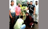 দাগনভূঞা পৌর যুবদলের বৃক্ষরোপন
