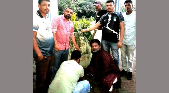 দাগনভূঞা পৌর যুবদলের বৃক্ষরোপন