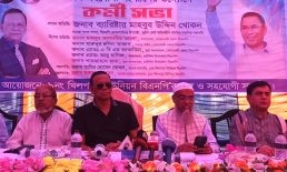 সন্ত্রাস, চাঁদাবাজ ও মাদকের বিরুদ্ধে বিএনপি জিরো টলারেন্স-  মাহবুব উদ্দিন খোকন