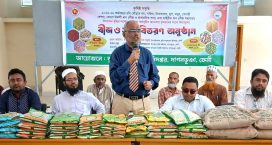 দাগনভূঞায় সহস্রাধিক কৃষকদের মাঝে বিনামূল্যে সার বীজ বিতরণ